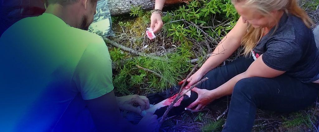 Wilderness First Aid (WFA)